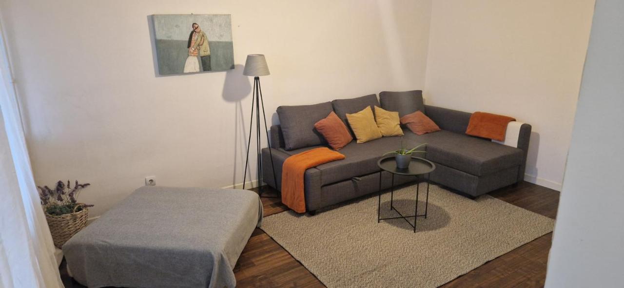 Apartman Franko- Jarun 자그레브 외부 사진